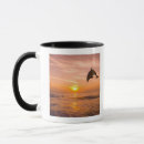 Search for bottlenose dolphin mugs Swimming