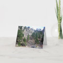 Search for county cards Colorado