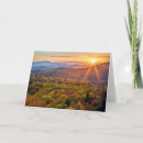 Search for heighted cards Forest