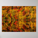 Search for fall foliage art Pond