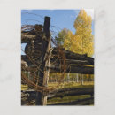 Search for wire postcards Fence