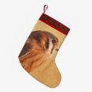 Search for raptor christmas stockings Falcon