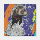 Search for ferret magnets Whimsical