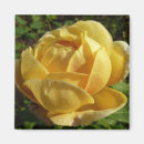 Search for old fashioned magnets Flower