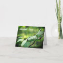 Search for pair cards Floral