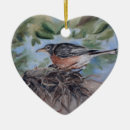 Search for robin christmas tree decorations Wildlife