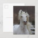 Search for friesian Grey