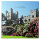 Search for castle tiles Wales