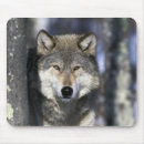 Search for wolf hunting mousepads Mammal