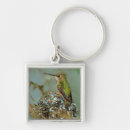 Search for green hummingbird key rings Wildlife