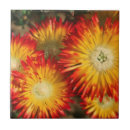 Search for colour imaging tiles Botany