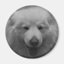 Search for samoyed stuff magnets Spitz