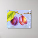Search for plum art Fruit