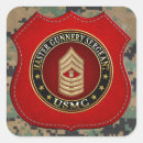 Search for sergeant stickers Usmc mgysgt rank insignia