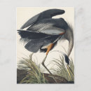 Search for postcards John james audubon