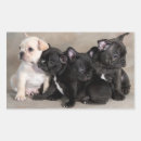 Search for english bulldogs stickers Puppies