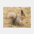 Search for squirrel doormats Photograph