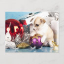 Search for chihuahua christmas cards Celebration