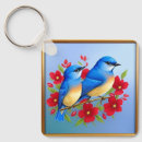 Search for bluebird key rings Nature