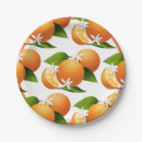 Search for orange fruit plates Oranges