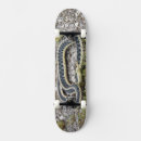 Search for snake skateboards Nature