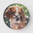Search for dog paws Pet photo