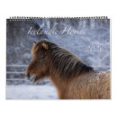 Search for icelandic horse Equine