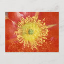 Search for rob postcards Usa