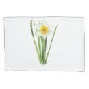 Search for spring daffodils pillowcases Narcissus