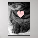 Search for true cat posters Kitten