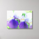 Search for iris flower gifts Botanical
