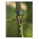 Search for insect lover notebooks Insects