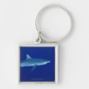 Search for blue shark key rings Fish