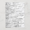 Search for white bark postcards Birch