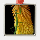 Search for flora christmas tree decorations Fauna