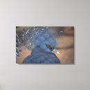 Search for wood pigeon posters Blue