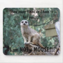 Search for meerkats mousepads Funny