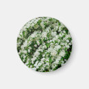 Search for shrub magnets Floral
