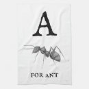 Search for ant Entomology