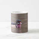 Search for wood duck mugs Wildlife
