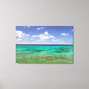 Search for turks and caicos art Environment