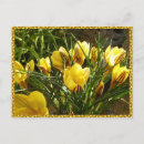 Search for alpine postcards Yellow