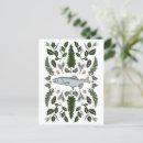 Search for fern postcards Washington