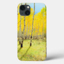 Search for aspen ipad cases America