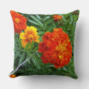 Search for sun cushions Bright
