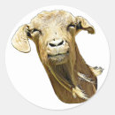 Search for funny scrapbook stickers Modern