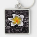 Search for frangipani key rings Tropical