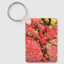 Search for japanese maple key rings Leaves