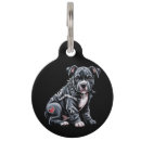 Search for patchwork pets Puppy
