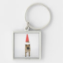 Search for wild boar key rings Animal